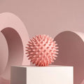 Hedgehog Massage Ball Yoga Fascia Ball Exercise Fitness Muscle Relaxation Massage Stick Shoulder Neck Leg Plantar Meridian Ball - SHOP PAGUE AO CHEGAR SHOP PAGUE AO CHEGAR